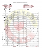 調解減免/新北童小姐